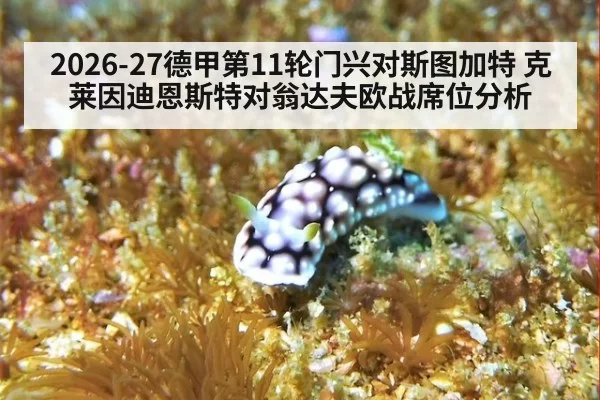 2026-27德甲第11轮门兴对斯图加特 克莱因迪恩斯特对翁达夫欧战席位分析